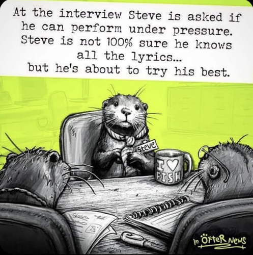 funny interview image